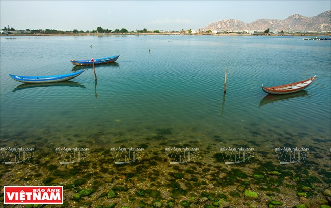  Le marais de Dam Nai, district de Ninh Hai, province de Ninh Thuân.