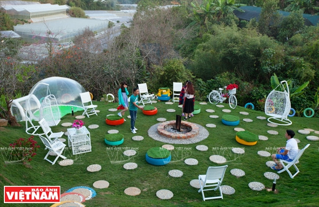 Un espace de distraction sur une pelouse à l’hôtel.