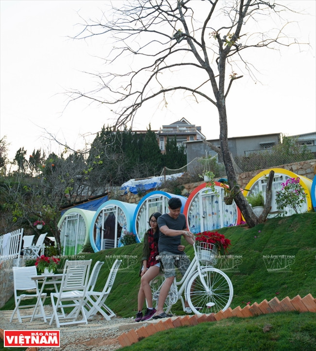 L'hôtel offre aux touristes une expérience originale. 