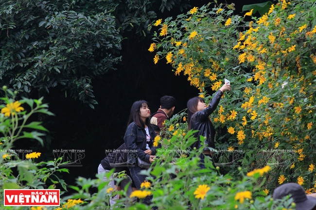 Des jeunes prennent dans leur objectif de belles images des plantes da quy en fleurs. 