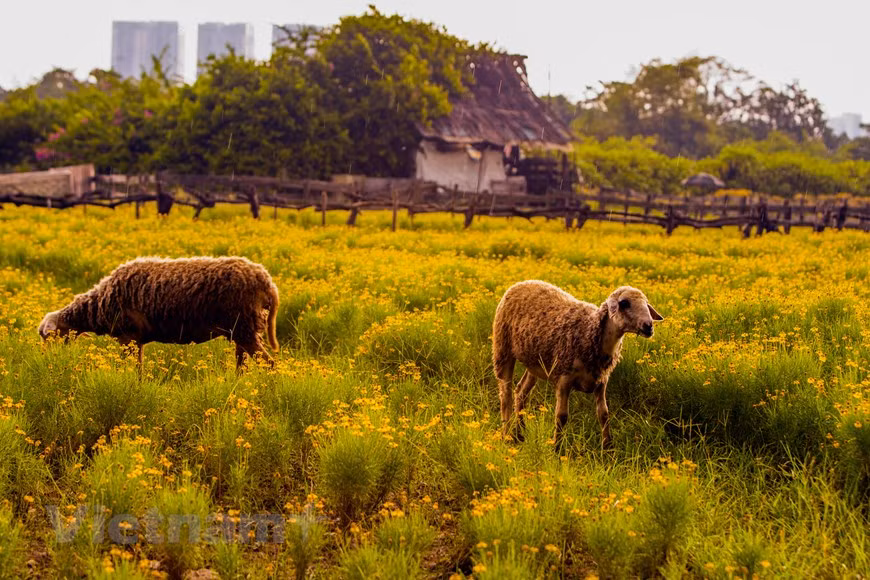 Ainsi chaque mois un moment idéal pour prendre des photos mémorables au fil des saisons.