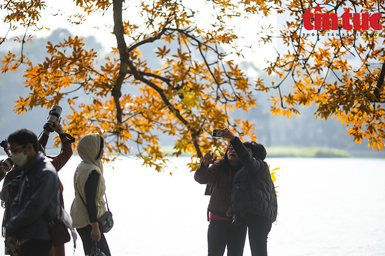 Les visiteurs du lac Hoan Kiem peuvent enregistrer des moments romantiques de l'année.