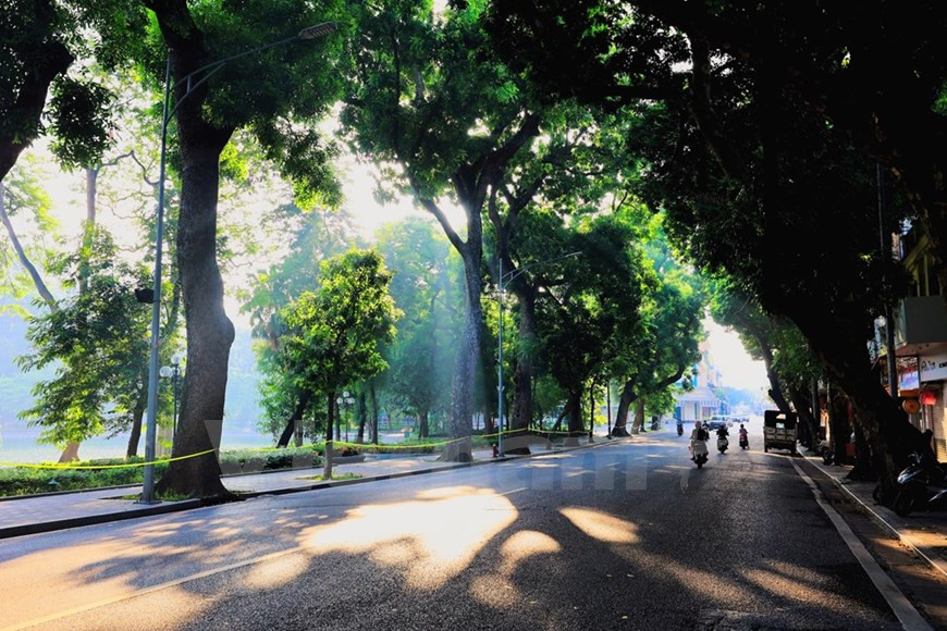 Pour beaucoup de gens, l'automne est le meilleur moment pour visiter et profiter de la capitale. Pendant la saison, Hanoï revêt une tenue romantique et charmante grâce au beau temps, aux arbres jaunes qui tombent, à la bonne nourriture délicieuse. Cependant, cette année, les mesures de distanciation sociale pour empêcher la propagation de la pandémie de COVID-19 a rendu l'automne dans la capitale plus spécial. Il n'y a donc pas de vendeurs de rue vendant des fleurs ou des délices très attendus comme le "cốm" - riz gluant jeune en granuels aplatis, cadeau spécial de l’automne. Étant donné que ses saveurs sont subtiles, les Vietnamiens peuvent le combiner avec d'autres ingrédients pour faire de délicieuses friandises. Photo: VietnamPlus