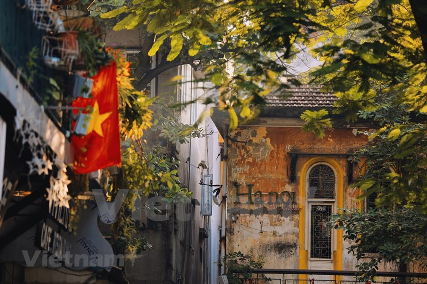 C’est en automne que Hanoï est la plus poétique. Les éléments s’accordent pour offrir à la capitale les meilleures conditions et ainsi la révéler sous son plus beau jour : fini la pluie, les températures sont clémentes, le soleil se montre généreux et agréable même à son zénith, tandis que les feuilles changent de couleur. L’automne dans la capitale vietnamienne est un véritable enchantement olfactif et un régal pour les yeux et les papilles. Ne soyez pas surpris si votre cœur se met à battre plus fort, c’est sans doute le soleil doré de l’automne qui inonde de sa lumière douce les vieux bâtiments, les rues et les arbres de Hanoï. Photo: VietnamPlus