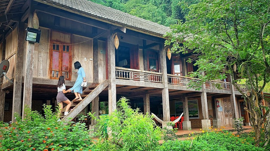 Profitant des paysages naturels et du climat frais toute l'année, les villageois ont développé des produits touristiques communautaires et fournissent des services d'hébergement chez l'habitant (homestay) pour répondre à la demande de nombreux touristes. Le climat tempéré et les conditions pédoclimatiques sont favorables à la culture de nombreuses plantes, notamment le thé. Les collines de thé en forme de cœur à Moc Chau sont devenues des attractions touristiques appréciées, en particulier des jeunes. Une fois arrivés à cette localité, les visiteurs peuvent admirer d'immenses parcelles de thé vert et aussi louer ou acheter des costumes traditionnels colorés des ethnies locales pour prendre des photos. Photo: VietnamPlus