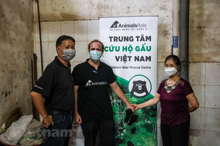 Le 25 juin, Animals Asia, une fondation vouée à mettre fin à l'élevage des ours à bile et à améliorer le bien-être des animaux en Asie, a reçu trois ours volontairement remis par un ménage qui pratique l'élevage d'ours depuis de nombreuses années dans la ville de Lang Son, province éponyme frontalière du Nord-Est. Les animaux ont ensuite été emmenés au Centre de sauvetage des ours du Vietnam (Vietnam Bear Rescue Centre), qui est implanté dans la vallée de Chat Dau, au sein du Parc national de Tam Dao, province septentrionale de Vinh Phuc. Cela a fait de Lang Son la 40e localité de niveau provincial au Vietnam à déclarer la fin de l'élevage de bile d'ours. Photo: VietnamPlus