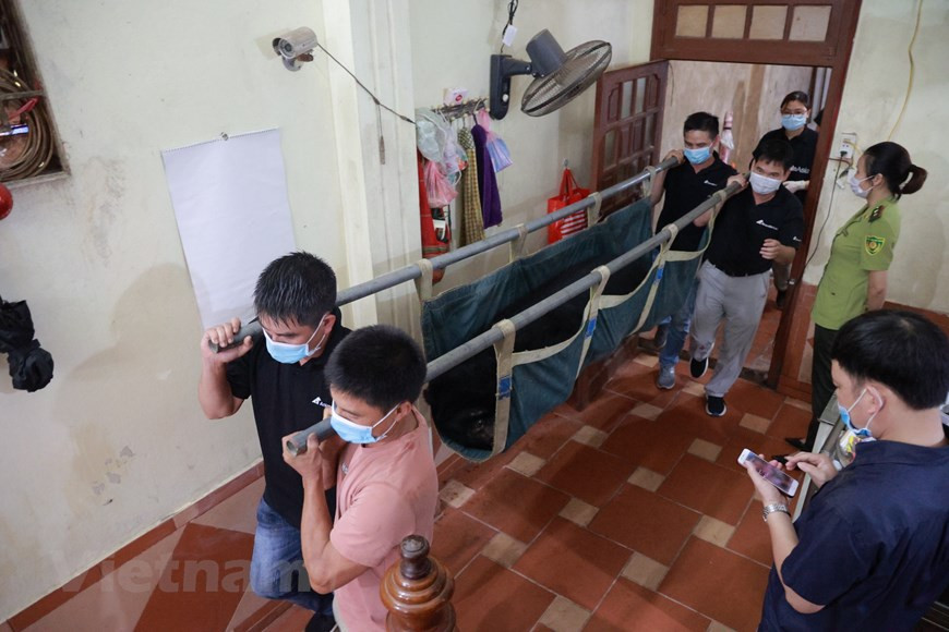 Depuis début 2021, le Centre de sauvetage des ours du Vietnam a pris en charge huit ours noirs d'Asie. Le Vietnam fait partie des signataires de la Convention sur la diversité biologique, de la Convention sur le commerce international des espèces de faune et de flore sauvages menacées d'extinction, de la Convention relative aux zones humides d'importance internationale et de la Convention des Nations Unies sur la lutte contre la désertification. Le pays a également intensifié la coopération bilatérale et multilatérale sur la conservation de la faune, par exemple en signant un accord avec l'Afrique du Sud en 2012 pour mettre fin au commerce illégal de la corne de rhinocéros. Photo: VietnamPlus