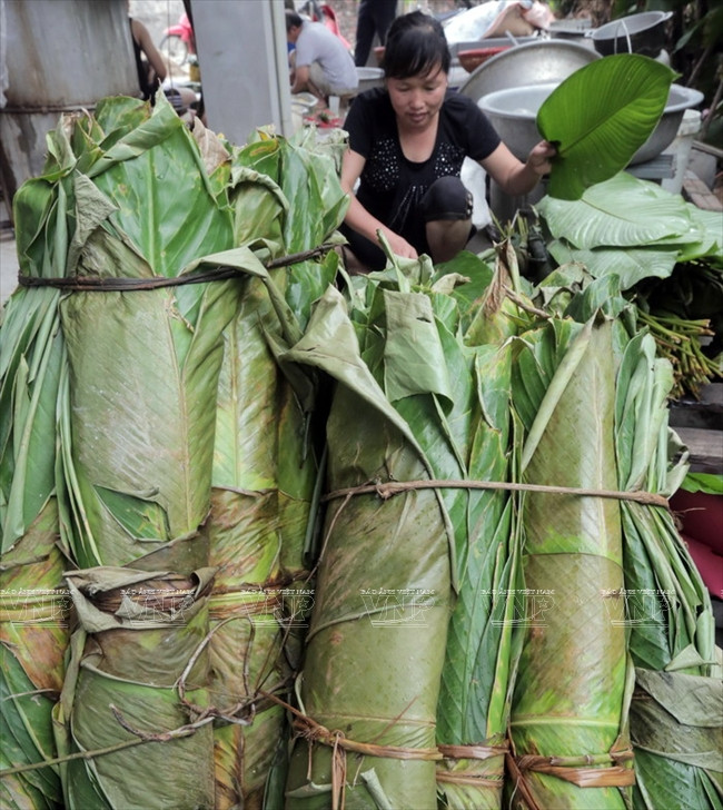 Les feuilles de bananier sont conservées au frais pour ne pas se dessécher.