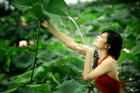 Les propriétaires des marais de lotus, de leurs côtés, apportent aux clients un accueil chaleureux ! L’entrée est gratuite. On doit payer seulement pour l’achat des fleurs. 