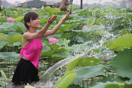 Le rose des fleurs et des ​Yem dao se combinent harmonieusement avec le vert tendre des grandes feuilles. 