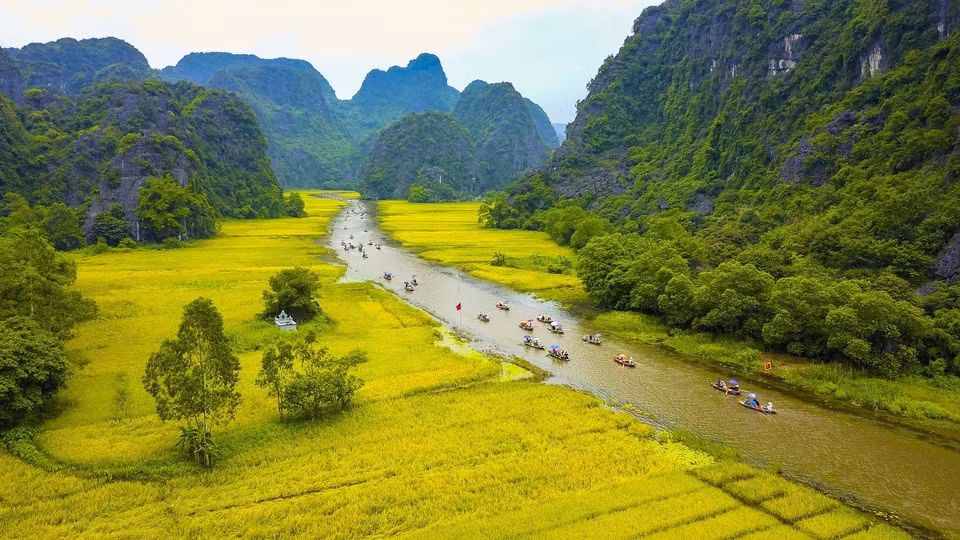 Les touristes prennent le bateau sur la rivière Ngo Dong pour visiter Tam Coc-Bich Dong. 
