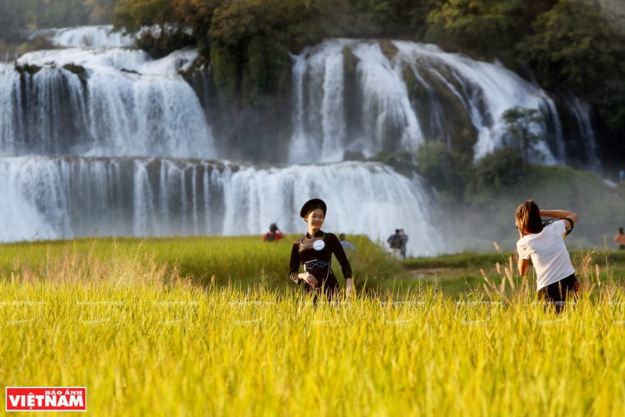 Des touristes posent devant la cascade de Ban Gioc, commune de Dam Thuy, district de Trung Khanh. Photo: Vietnam Illustré