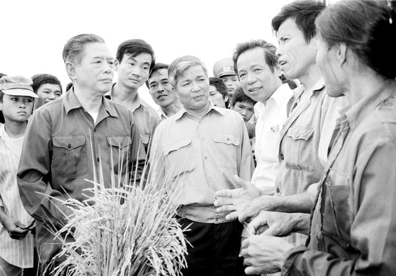Le Secrétaire général Nguyen Van Linh rend visite aux agriculteurs de la coopérative Tung Phong, dans la commune de Tung Anh, district de Duc Tho, province de Nghe Tinh au Centre du 23 au 27 mai 1990. Photo: VNA