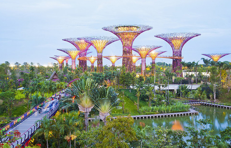 Situé en bordure de la baie de Singapour, le parc Gardens by the Bay, inauguré en juin 2012, est particulièrement réputé pour ses incroyables structures métalliques en forme d'arbres hautes de 25 à 50 mètres. Photo: Getty Images