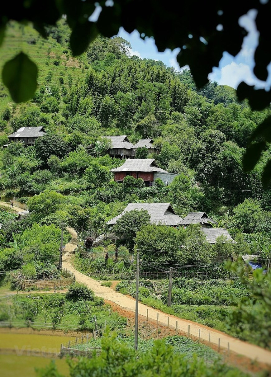 ''L’identité culturelle de mon ethnie se perpétue par ces vêtements. Du coup, j’aime beaucoup les porter, aussi bien dans la vie de tous les jours que pour les festivités. Il faut donner exemple aux jeunes!'', a-t-elle ajouté. Quant aux femmes, elles portent une veste courte à longues manches en blanc ou en brun, et en-dessous, un yếm, un cache-seins traditionnel chez les Kinh également. Il s’agit d’un carré de soie ou de coton dont les extrémités sont fixées par des cordons lacés dans le dos au niveau du cou. Pour le bas, elles se vêtent d’une longue jupe noire et se coiffent d’un simple foulard, soit blanc, soit vert. Photo: VietnamPlus