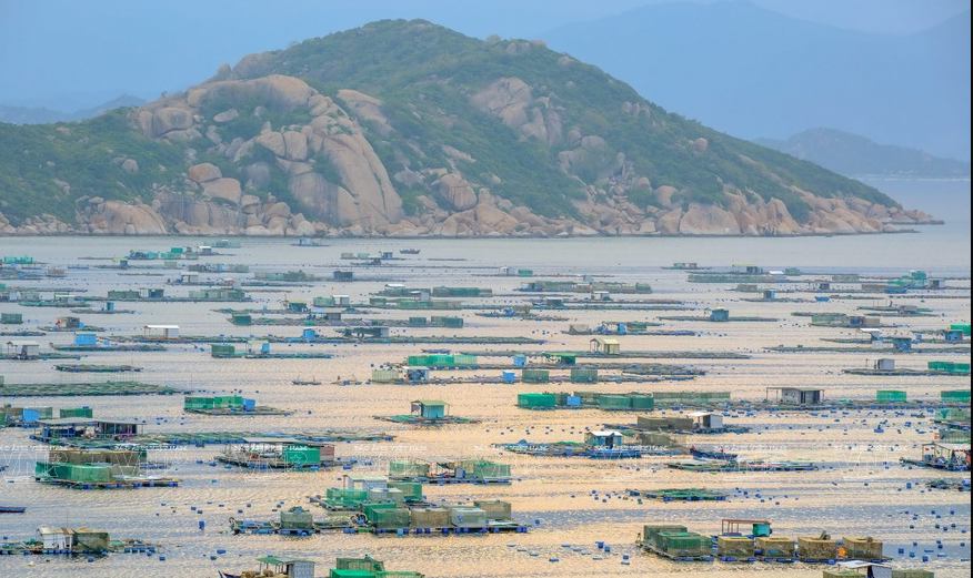 Binh Ba, une île de la ville de Cam Ranh, province de Khanh Hoa (Centre), est surnommée "l'île du homard" car il abrite de nombreuses cages d'élevage de ce crustacé, devenu la principale source de revenus des habitants.