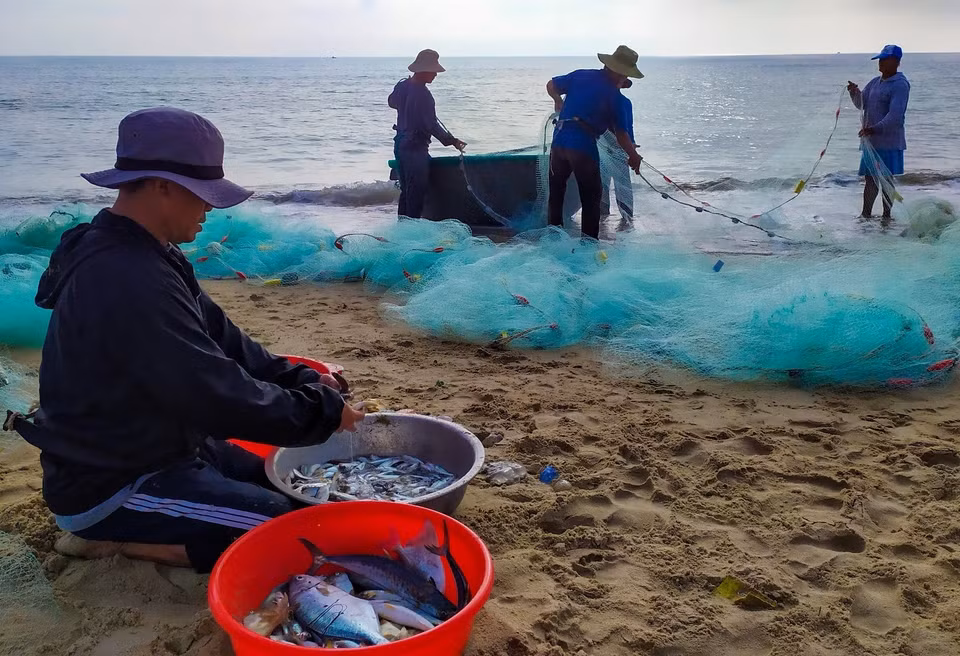 Des pêcheurs font le tri immédiatement des produits aquatiques pêchés sur la plage. Photo : VNA 