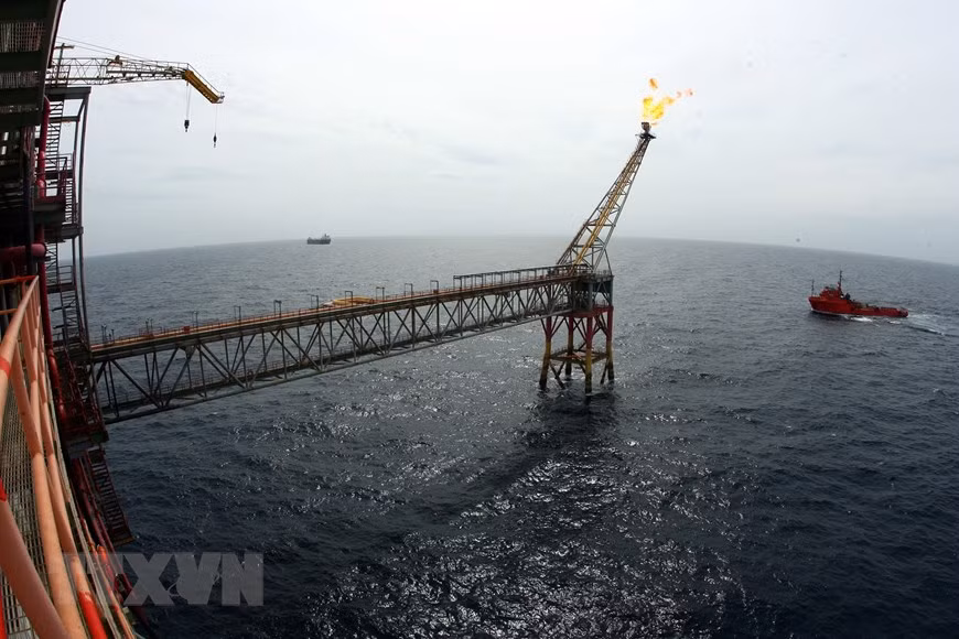 Exploitation pétrolières et gazières au gisement de Bach Ho.