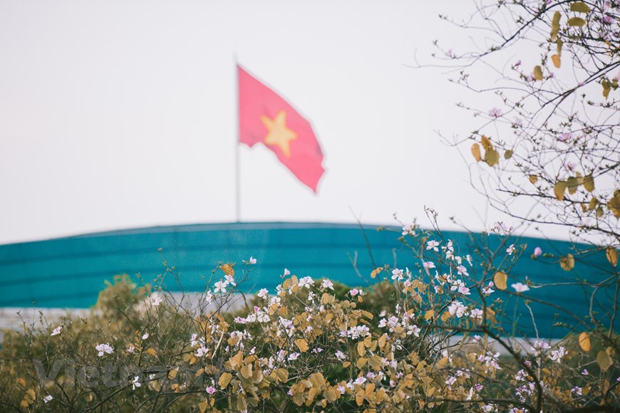 Le moment où les fleurs fleurissent, c'est aussi celui où les rues de Hanoi sont "revêtues' de leur nouveau look. Photo: Vietnam+
