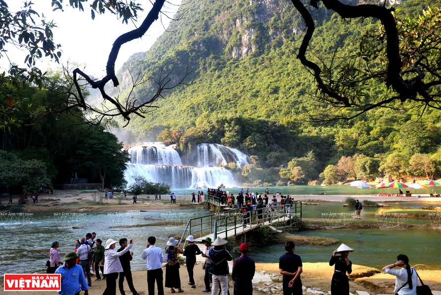 La cascade de Ban Gioc, district de Trung Khanh, attire chaque année un grand nombre de touristes vietnamiens et étrangers. Photo: Vietnam Illustré