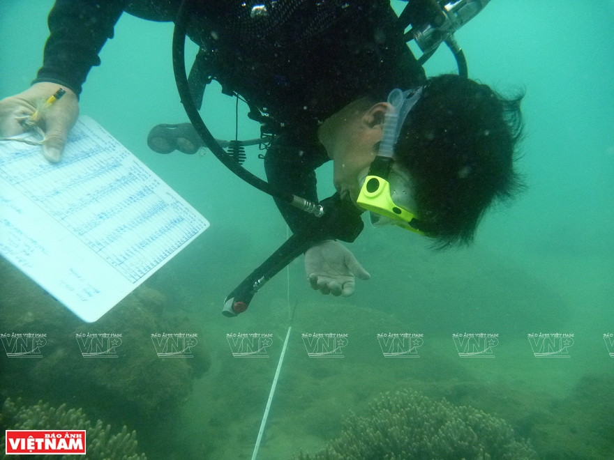 Des notes de suivi sont enregistrées sur le fond marin. Photo: Vietnam Illustré