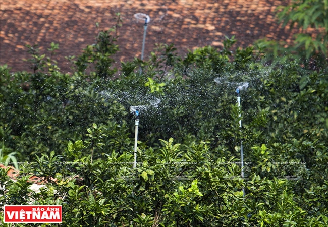 Un système d’arrosage automatique. 