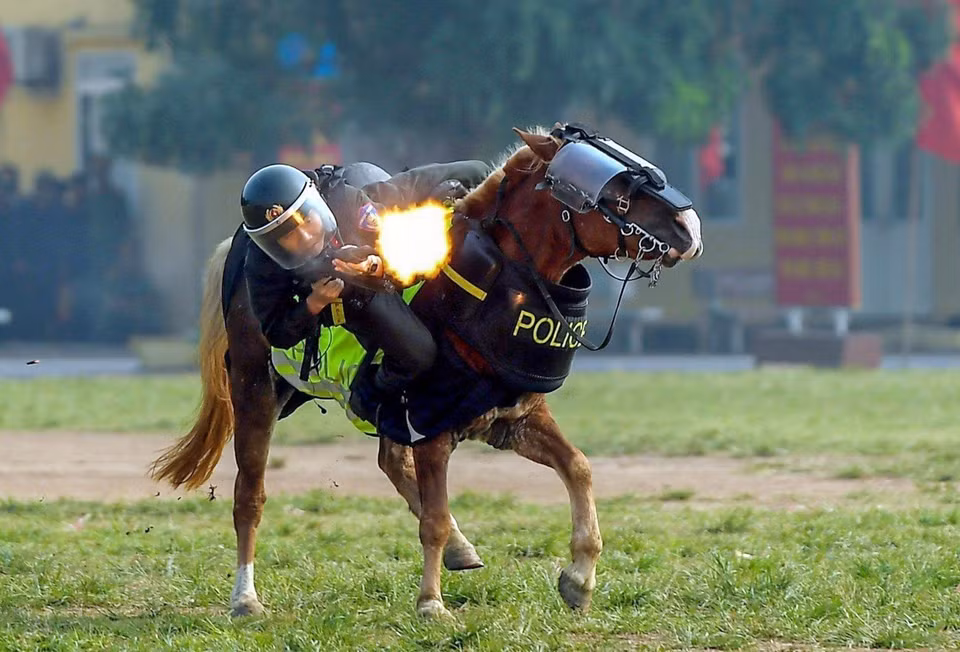  L'exercice de tir à cheval est complexe, mais il est habilement exécuté par les officiers et soldats de la Police mobile à cheval. Photo : VNA 