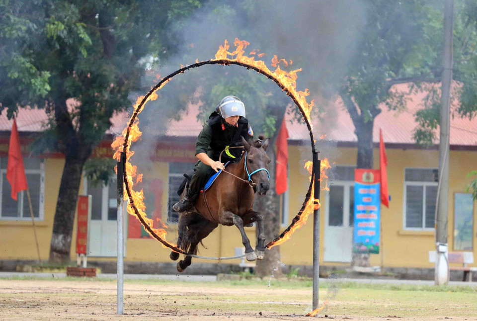 Les soldats de la Police mobile à cheval sont bien formés et maîtrisent les connaissances de base de leur métier et les méthodes d’entraînement. Photo : VNA