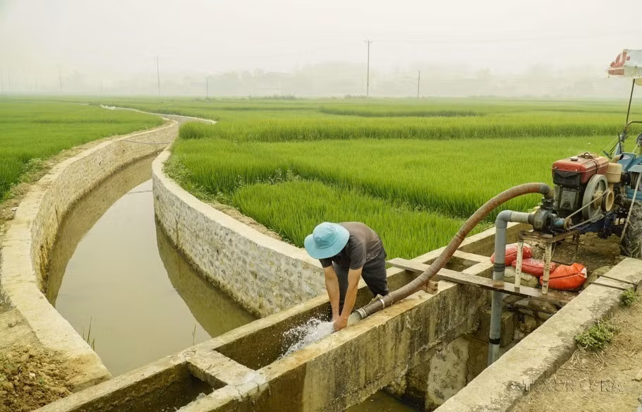  Les résidents de Diên Biên utilisent des pompes pour irriguer les champs de riz secs en hiver et au printemps. Photo : VNA 