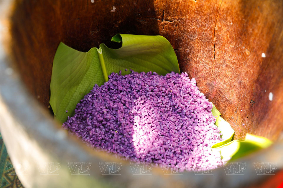  On utilise des plantes pour la coloration. Photo : VI