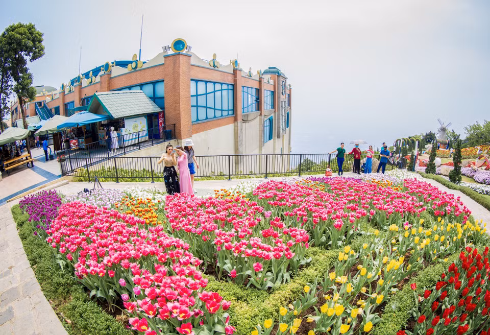  Le jardin de tulipes en pleine floraison attire de nombreux visiteurs. Photo: VNA 