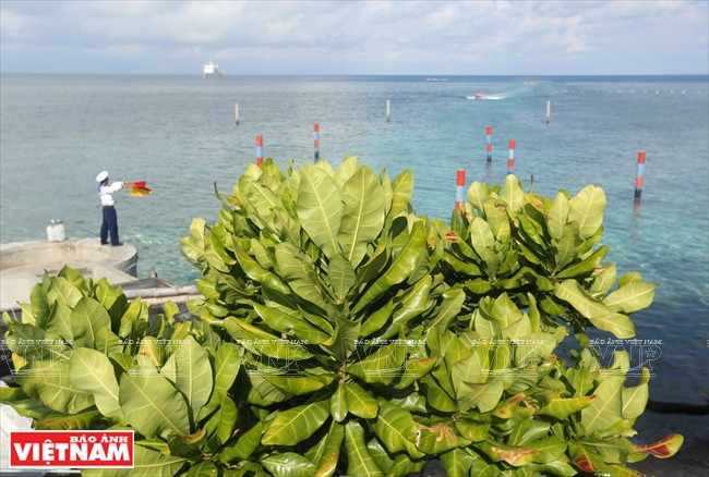 Espace vert sur l'ile. Photo: Thong Thien