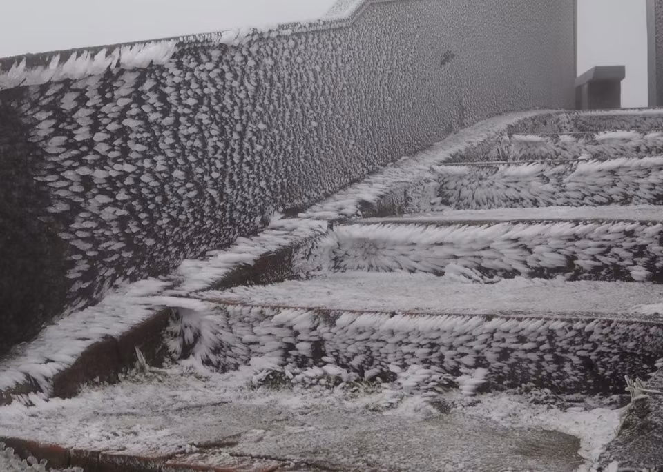 La neige et le verglas ont aussi fait leur apparition dans le mont Mau Son, district de Loc Binh, province de Lang Son. La température extérieure enregistrée le 8 janvier, était d'environ -1,6 ºC. Photo: VNA