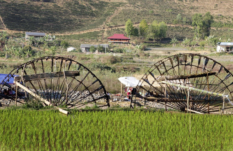 Ces roues hydrauliques tournent en continu, fournissant de l'eau pour l'agriculture et créant une image simple mais belle, étroitement liée à la vie locale, que les visiteurs peuvent admirer et explorer. Photo: VNA