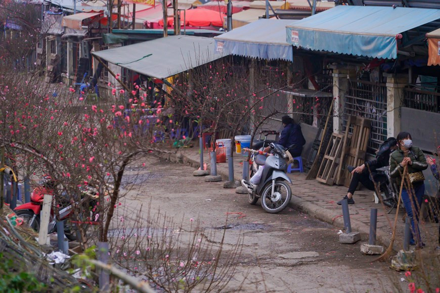 La beauté de cette fleur symbolise aussi celle des filles du Nord : tendresse, timidité, beauté. Tout le monde ne connaît pas pleinement la signification de cet arbre. Mais, une chose est sure, c'est qu’à l'occasion du Têt traditionnel, la décoration de la maison avec une branche de pêcher en fleur est indispensable. Cela est devenu une coutume pour tous les Vietnamiens. En décorant la maison avec cette fleur, tout le monde souhaite passer une année heureuse et prospère. La plante apporte également une nouvelle source de vitalité qui aide tous les membres de la famille à jouir d'une bonne santé. La beauté de cette fleur symbolise aussi les filles du Nord: douces, timides et gracieuses. Photo: VietnamPlus