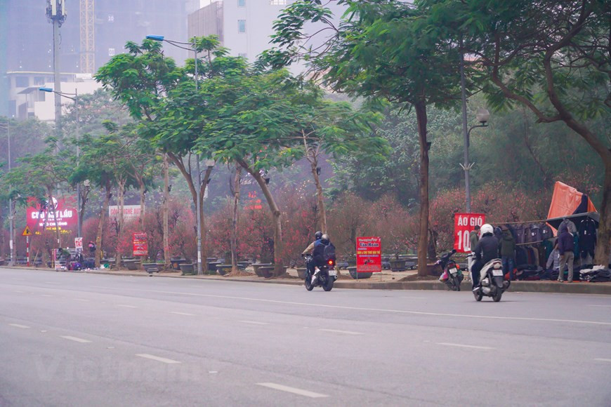 Des villages de pêchers de Hanoï, le plus connu est celui de Nhât Tân, dans l’arrondissement de Tây Hô. Ce village floricole, appelé jadis Nhât Chiêu, est connu pour deux types de fleurs de pêcher: l’un avec des pétales roses clairs, et l’autre avec des pétales roses foncés presque rouges. On raconte que le roi Quang Trung, après avoir vaincu les troupes Tsing durant le Têt de l’année Ky Dâu (1789), fit porter de Thang Long (Hanoï) à Phu Xuân (actuelle ville de Huê), la plus belle branche de pêcher de Nhât Chiêu, pour l’offrir à son épouse, la princesse Ngoc Hân et lui annoncer la bonne nouvelle. Cette branche représente l’attachement de la population de Thang Long au héros national. Photo: VietnamPlus