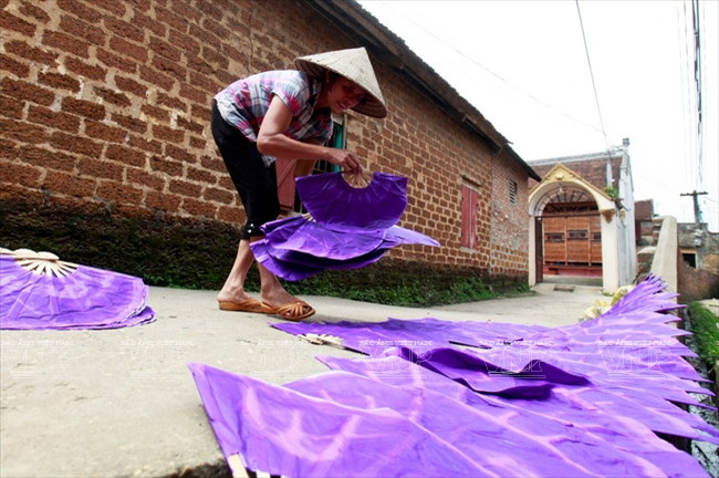 Les éventails sont mis à sécher partout dans le village : chemins, ruelles, trottoirs...