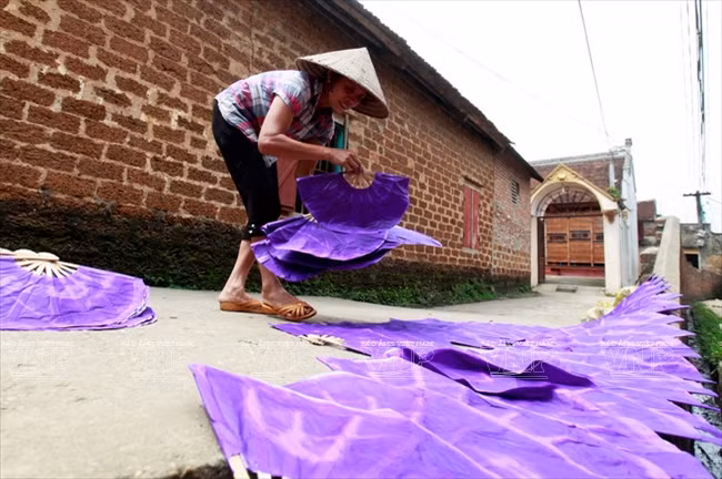 Les éventails sont mis à sécher partout dans le village : chemins, ruelles, trottoirs...