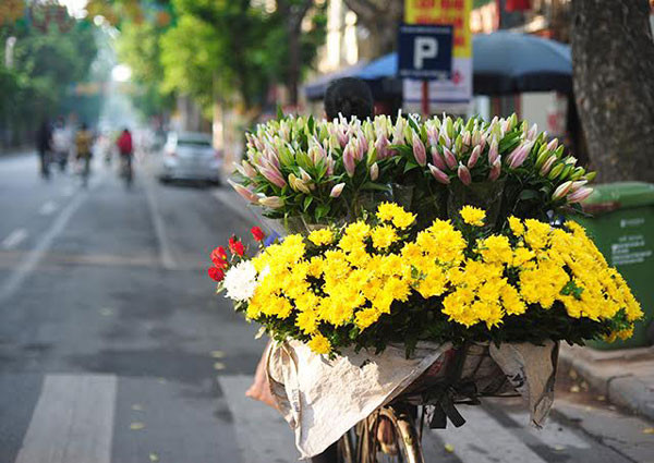 Une vendeuse ambulante de fleurs dans la matinée. Le chrysanthème jaune, une des fleurs typiques de l’automne de Hanoï.