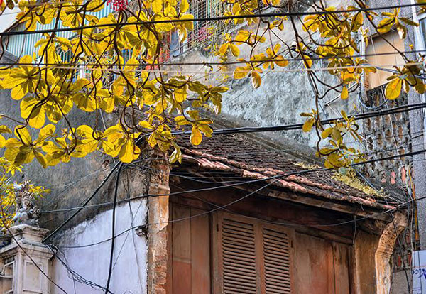 De petites maisons juxtaposées aux toits de tuile dans le vieux quartier de Hanoï. 
