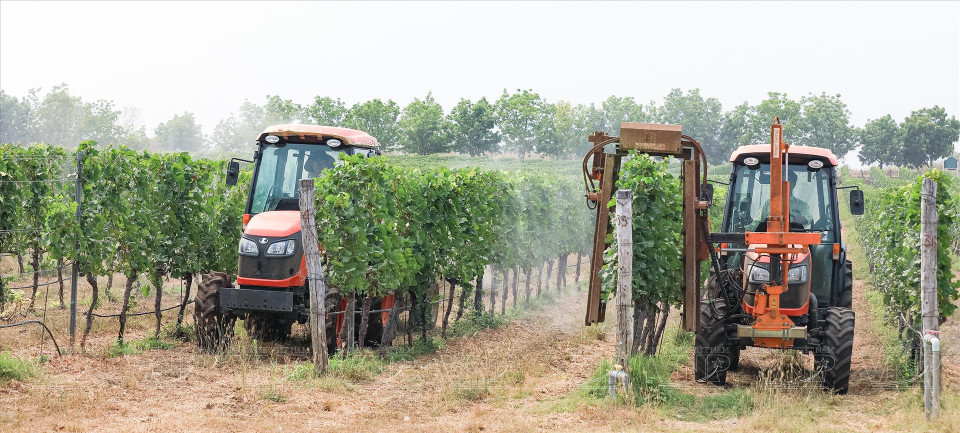  Application de hautes technologies dans la viticulture. Photo : VI