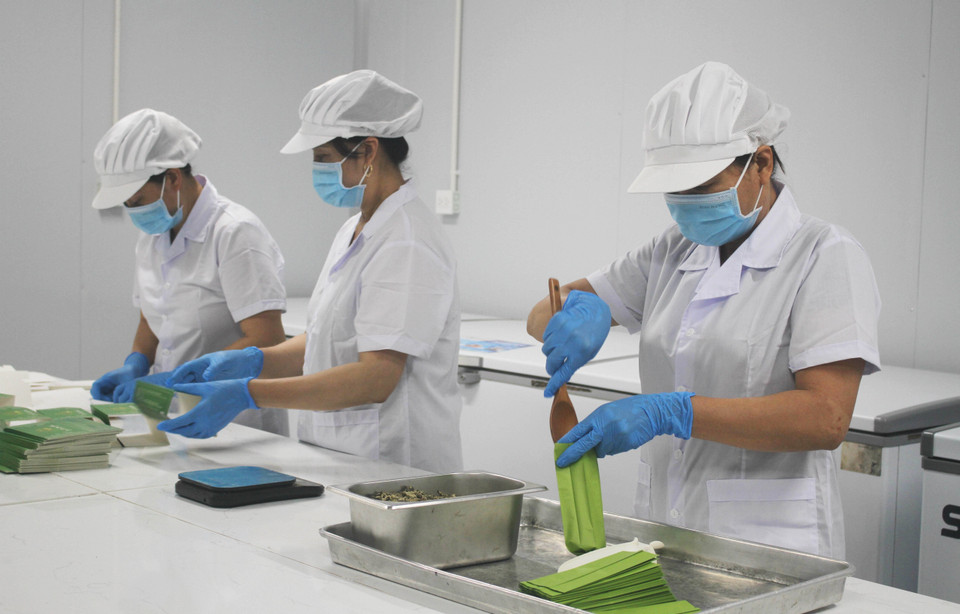 Production de thé de lotus à la société de production, d'import-export et de services commerciaux Hali. Photo : VNA