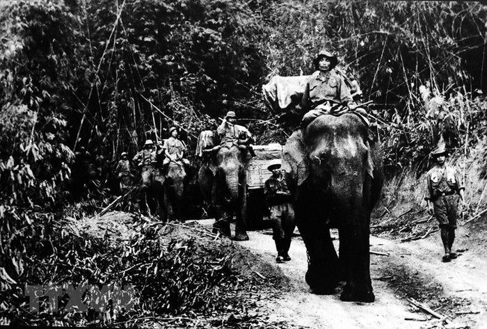 Des éléphants ont été aussi mobilisés pour transporter des marchandises du village de Ho (à l'Ouest de Quang Binh) vers les stations No1, 2, 3, 4 et 5 au Nord de la piste No9, avril 1962. 