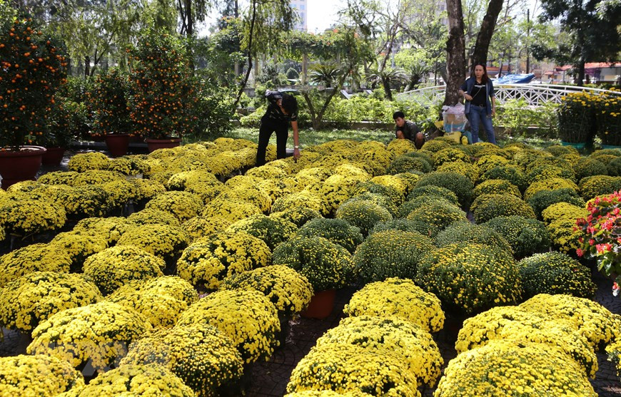 De nombreux marchés aux fleurs sont ouverts dans les rues de Le Duan, Le Quy Don, Nguyen Hue, Tran Hung Dao et à côté de la Maison culturelle centrale de la ville de Huê. 