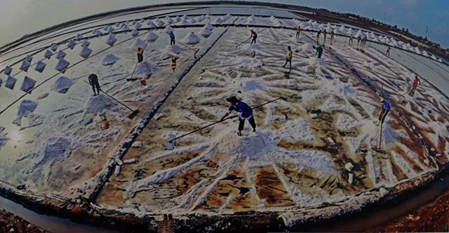 Les marais salant à Bac Liêu. 