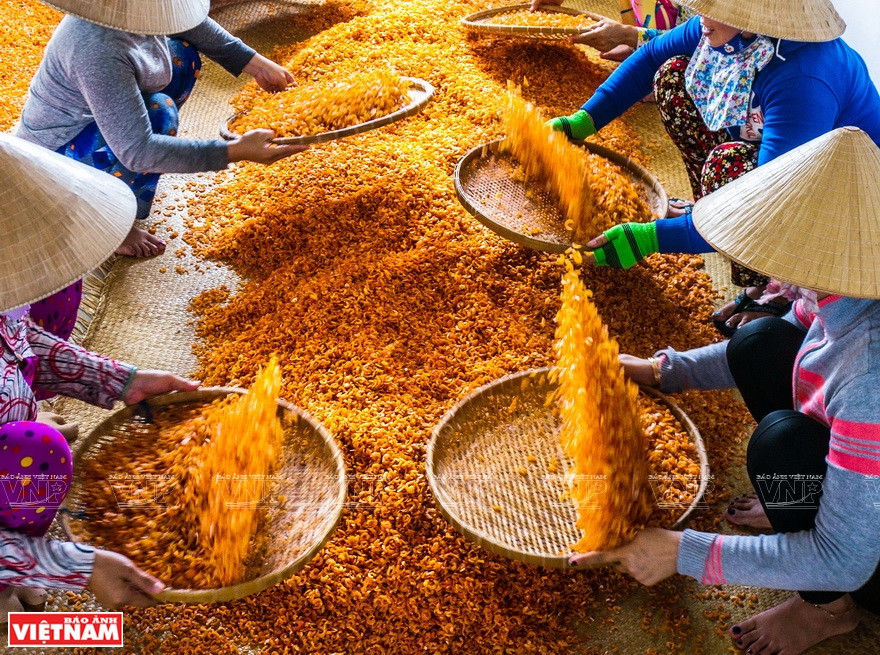 Des éleveurs de Ca Mau transforment des crevettes séchées. Photo: Vietnam Illustré
