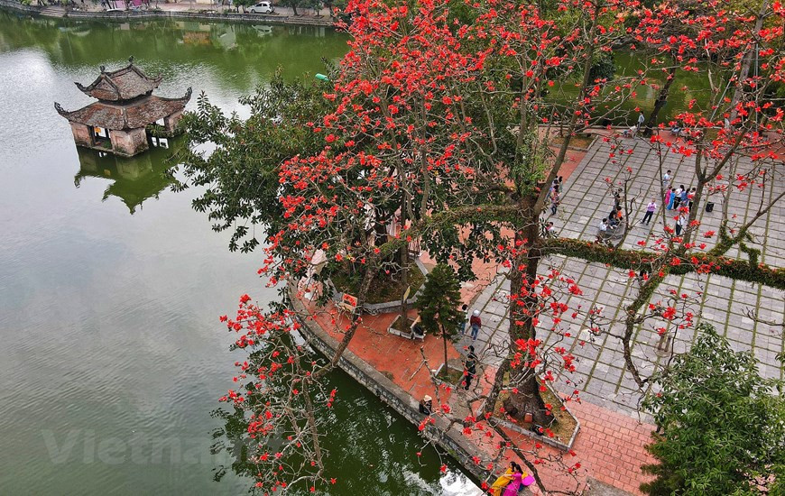Située à la périphérie de Hanoi, la pagode Thay est généralement dotée de paysages pittoresques tout au long du mois de mars en raison de la vue d'une couleur rouge vibrante provenant des fleurs du bombax ceiba.