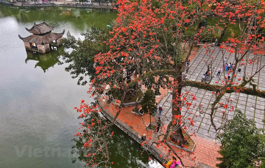 Située à la périphérie de Hanoi, la pagode Thay est généralement dotée de paysages pittoresques tout au long du mois de mars en raison de la vue d'une couleur rouge vibrante provenant des fleurs du bombax ceiba.