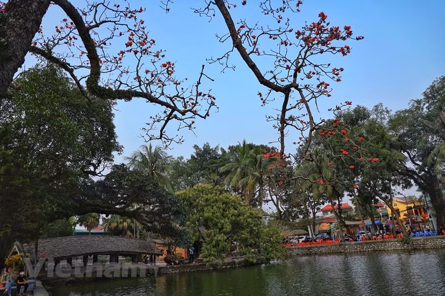 Un coin de la pagode Thay est comme une peinture à l'encre d'eau avec une surface d'eau bleue reflétant le toit de l'ancien pont courbé et un bombax ceiba.