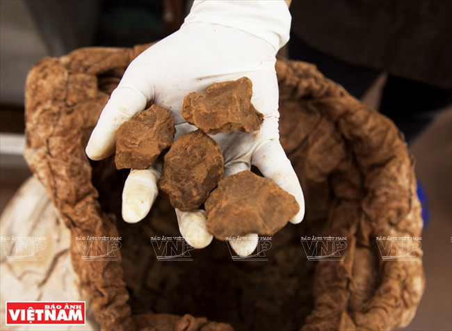  Cacao pour la production de cacao en poudre et d’autres produits dérivés.